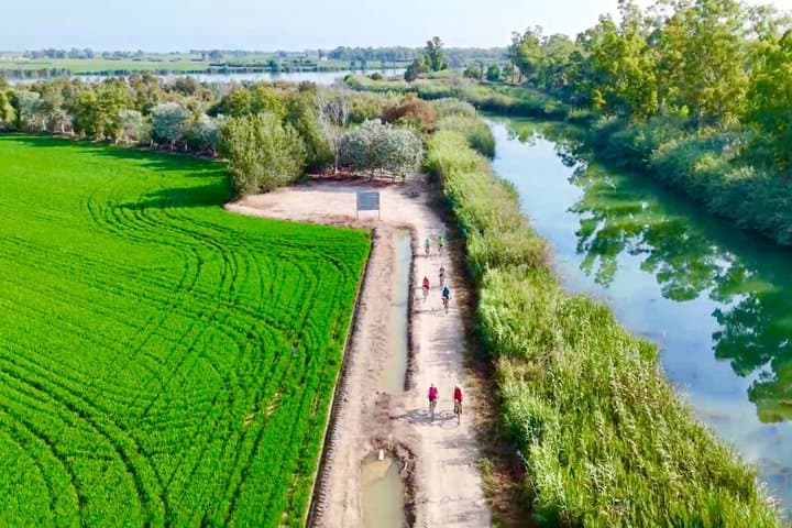 Bike Rental to Explore the Ebro Delta