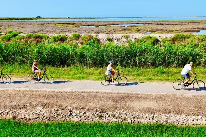 Bike Rental to Explore the Ebro Delta