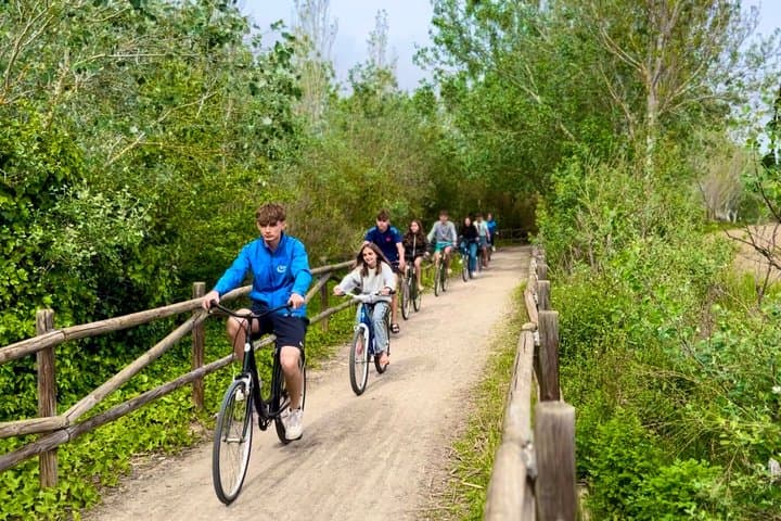 Bike Rental to Explore the Ebro Delta