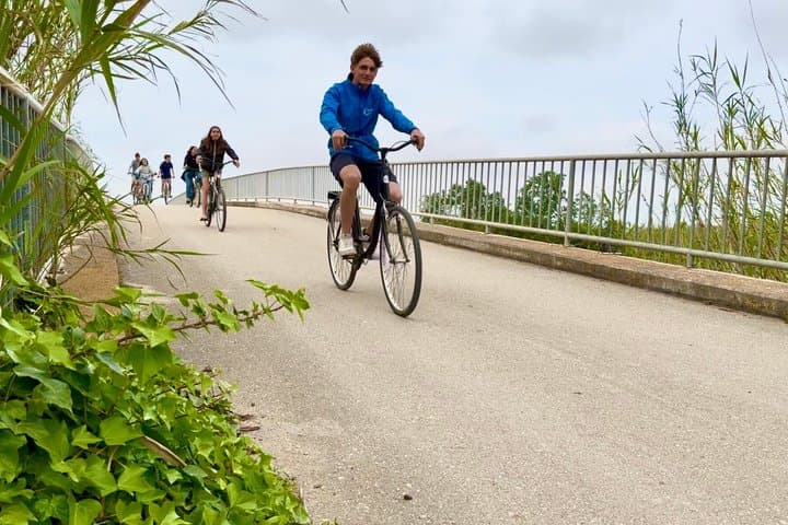 Bike Rental to Explore the Ebro Delta