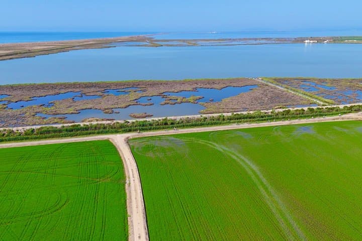 Bike Rental to Explore the Ebro Delta