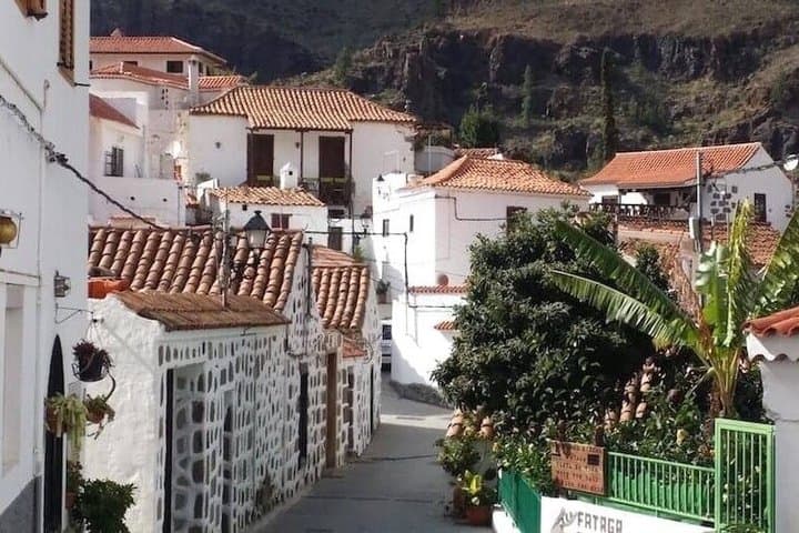 VIP Tour Panoramas de Gran Canaria