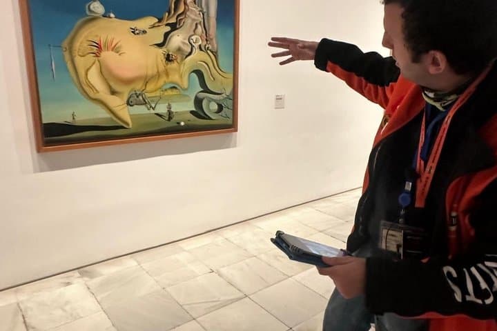 Picasso Experience at Reina Sofía Museum Madrid