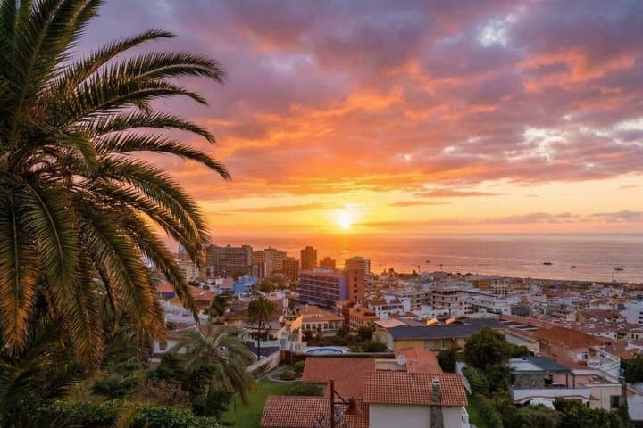 Private Guided Tour to Teide and North Tenerife