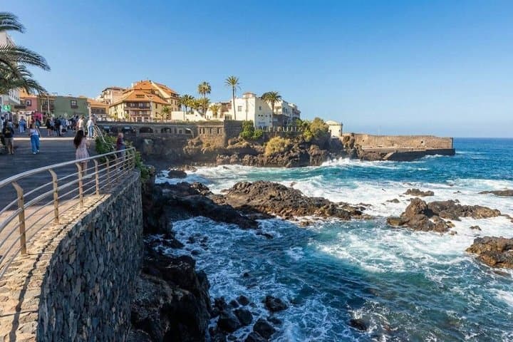 Private Guided Tour to Teide and North Tenerife