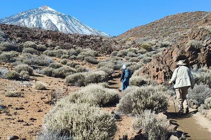 Private Guided Tour to Teide and North Tenerife