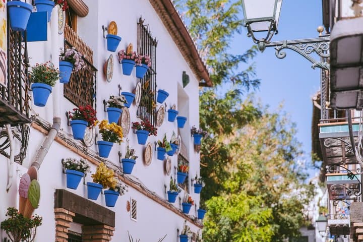 Private Romantic Walking Tour of Granada Albaicín & Royal Chapel