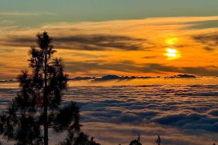 Private Tour Tenerife Teide National Park and Canarian Restaurant