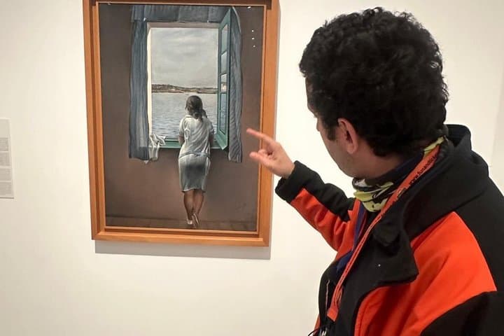 Picasso Experience at Reina Sofía Museum Madrid