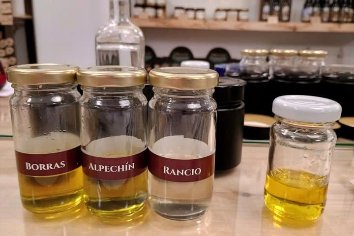 Olive Oil Tasting in Cazorla