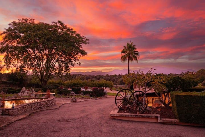 Mindful Art & Slow Living Retreat in Mallorca