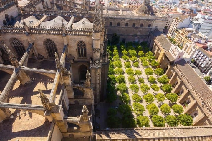 Seville Visit to the Cathedral and the Giralda and Royal Alcazar Premium