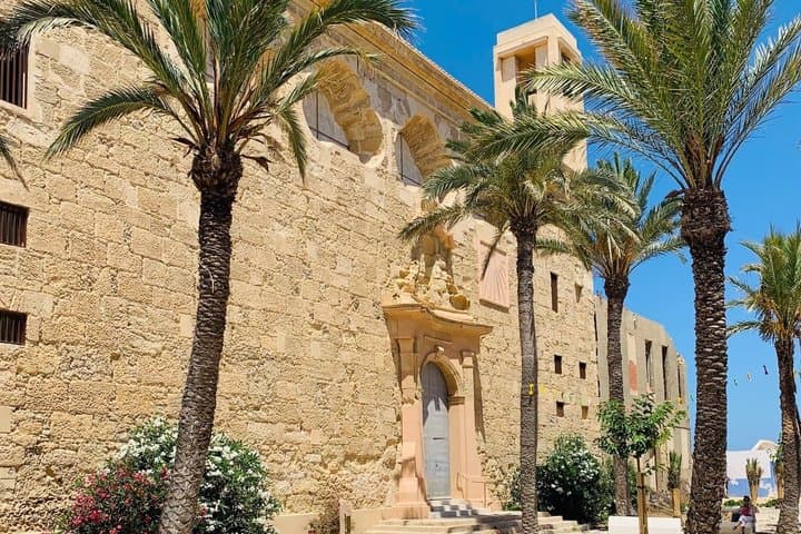 From Albir and Benidorm Tabarca Island Day Trip by Coach