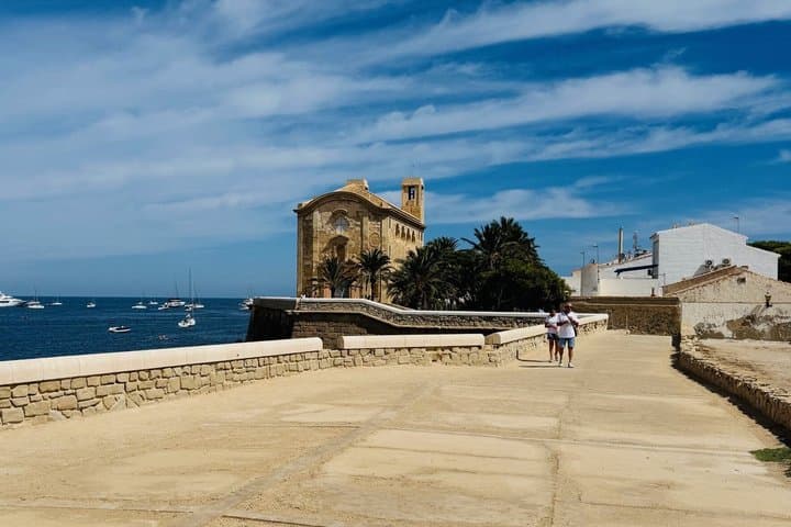 From Albir and Benidorm Tabarca Island Day Trip by Coach