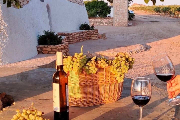 Vineyards and hype with family tasting