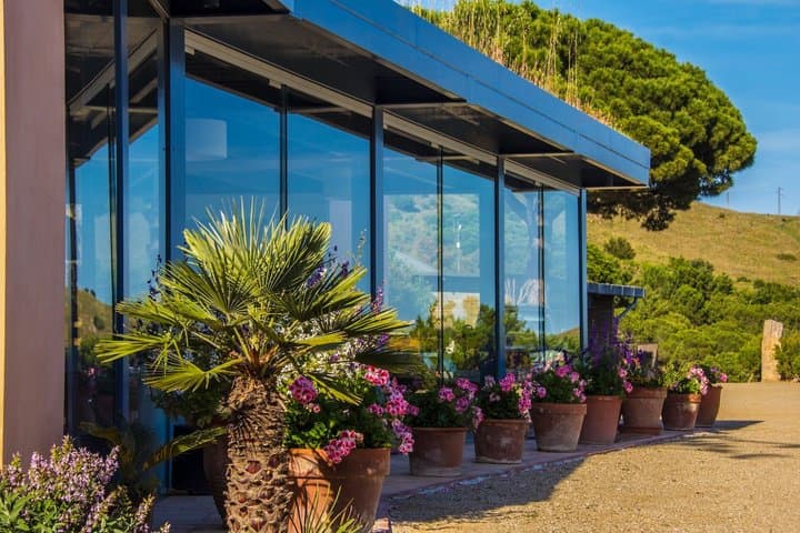 Barcelona Sailing Adventure and Small Group Winery Tasting Tour