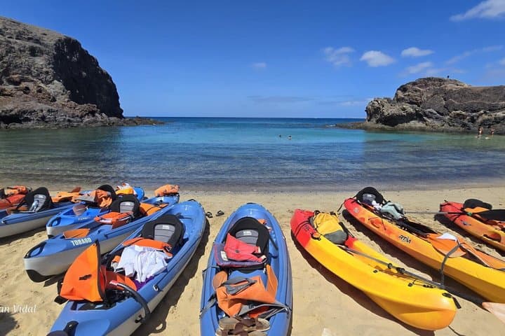 Kayak and Snorkel Adventure at Playa Papagayo