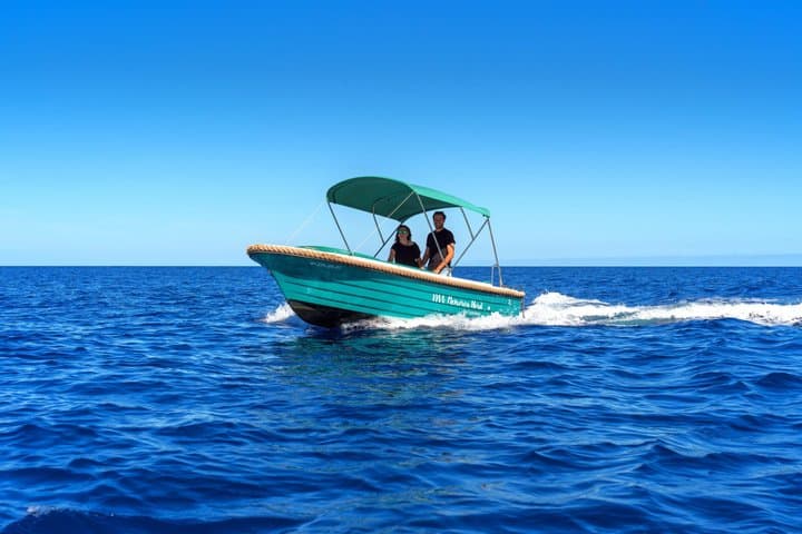 Untitled boat rental in the Port of Addaia