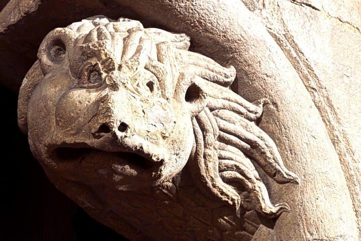 Riddles and Mysteries of the Night Lion