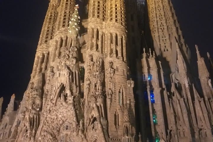 Barcelona Sagrada Familia de Gaudí with Exclusive Access