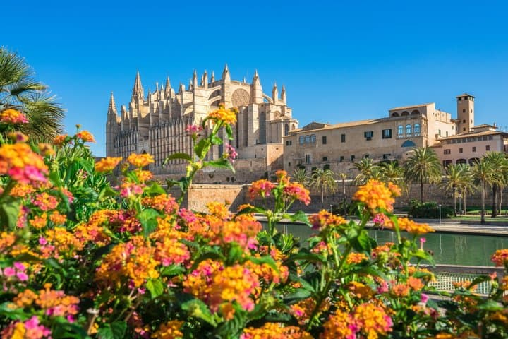 Cruise Friendly Palma de Mallorca and Valldemossa Tour from Port