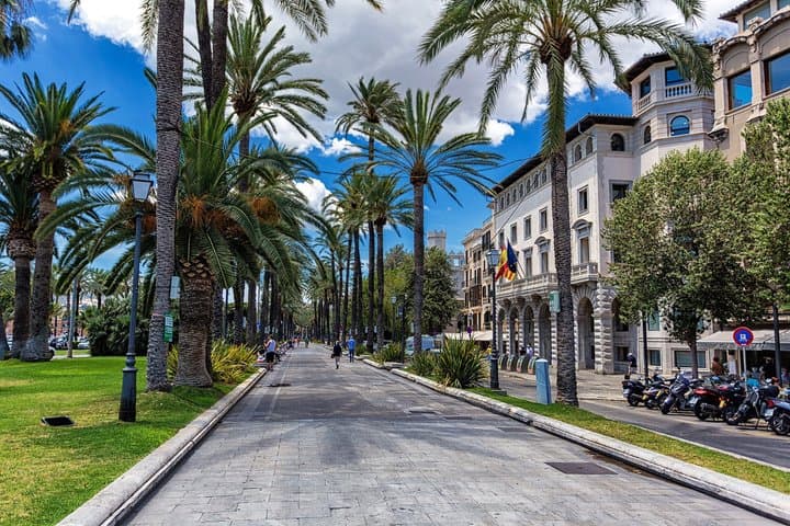 Cruise Friendly Palma de Mallorca and Valldemossa Tour from Port