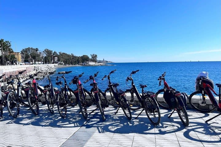 Torrevieja Costa Blanca 3 hour e bike tour