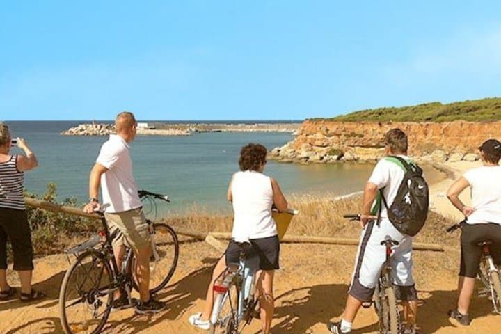 Torrevieja Costa Blanca rental Ebikes 1 day