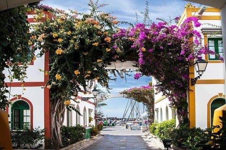 Essentials of Southern Gran Canaria from Las Palmas