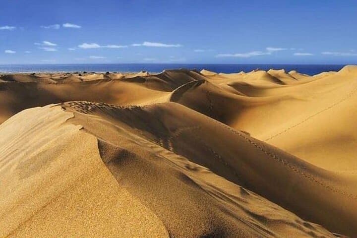 Essentials of Southern Gran Canaria from Las Palmas