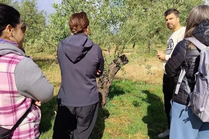 Córdoba : Visit to organic olive groves with tasting and tasting