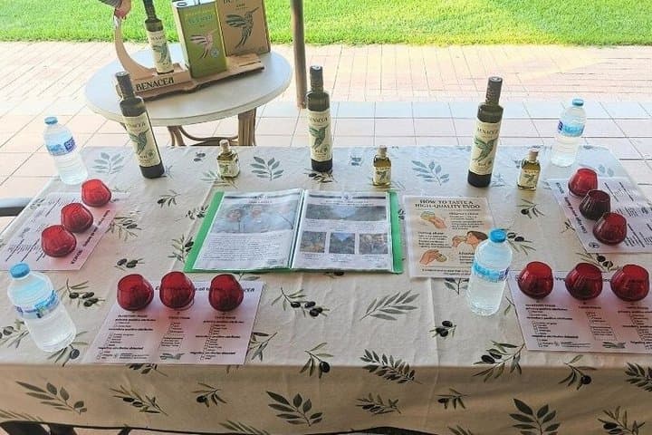 Córdoba : Visit to organic olive groves with tasting and tasting