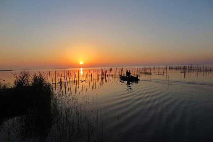 Solar Eclipse+Boat Trip+Paella included in Albufera from Valencia