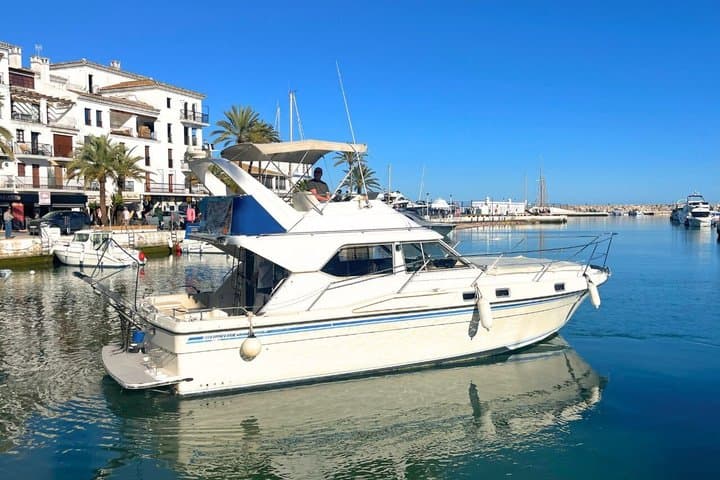 Eco-Dolphin Expedition in La Duquesa - Intimate Navigation and Cava