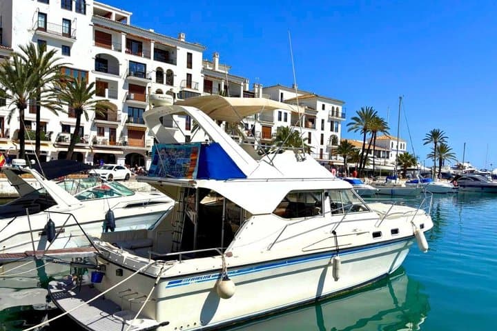 Eco-Dolphin Expedition in La Duquesa - Intimate Navigation and Cava