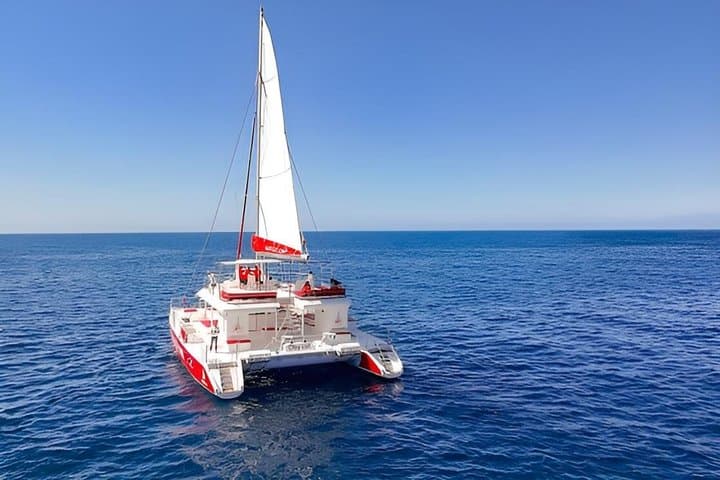 Premium Catamaran Tour from Puerto Rico