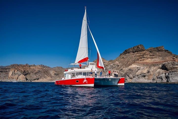 Premium Catamaran Tour from Puerto Rico