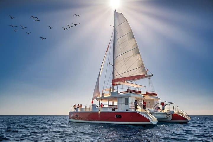 Premium Catamaran Tour from Puerto Rico