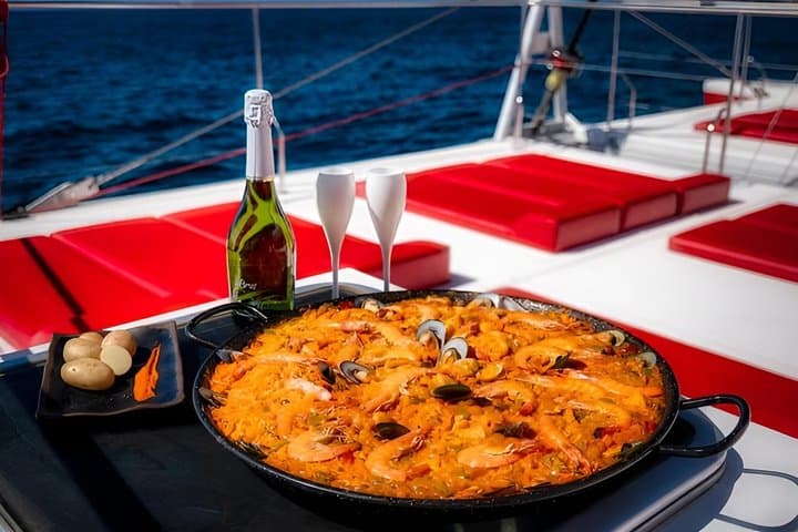 Premium Catamaran Tour from Puerto Rico