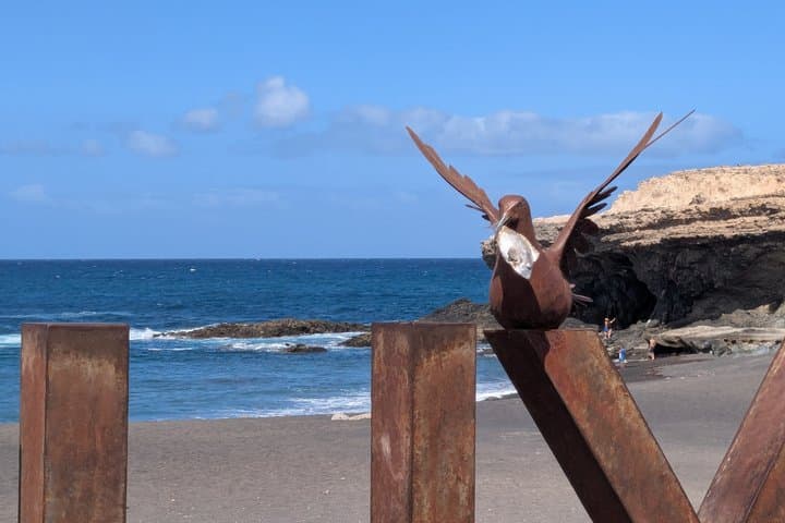 Tour Discover Fuerteventura