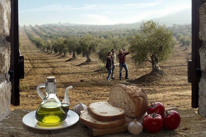 Mediterranean Flavors Sitges and Olive Oil Experience