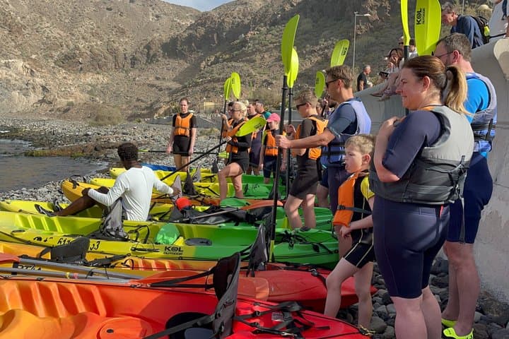 Kayaking Tour in the south of Tenerife