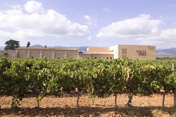 Valldemossa and Mallorcan Wine Tasting Small Group Tour