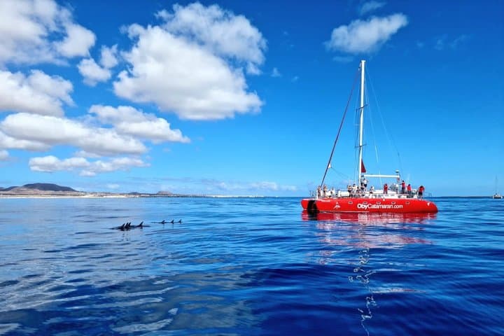 Catamaran Freebird Tour Isle of Wolves