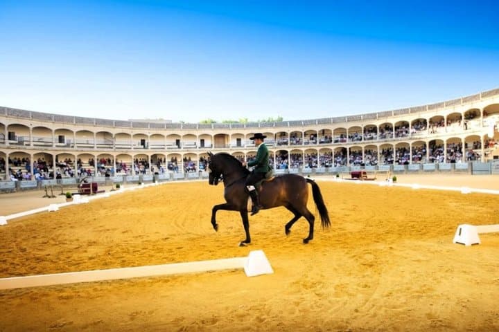 From Malaga Ronda Full 7 Hour Tour + Gift