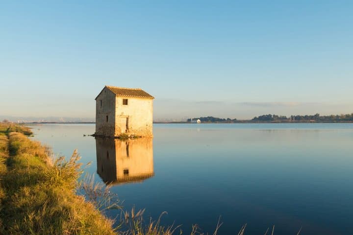Albufera Magic Sunset Boat Trip and Paella