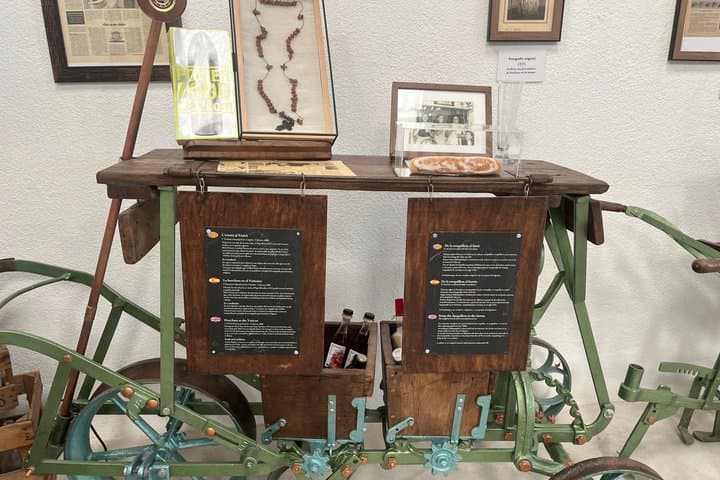 Espai Món Orxata – Horchata Culture Experience