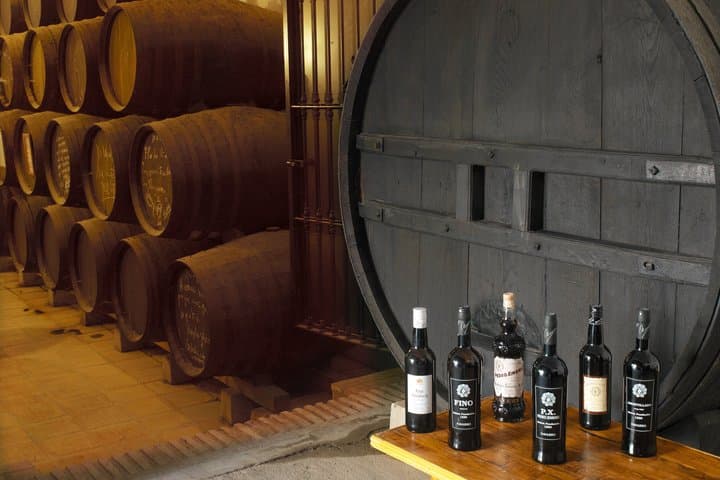 Wine Experience in Montilla
