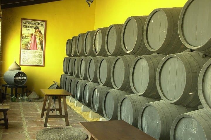 Wine Experience in Montilla