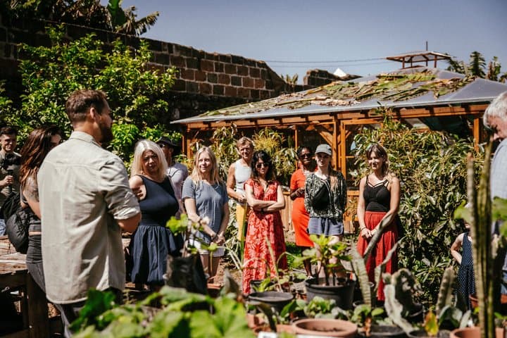 Tenerife's Hidden Oasis Cover: Sustainable Farm Tour